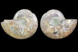 Bargain, Cut & Polished Ammonite Fossil - Agatized #78399-1